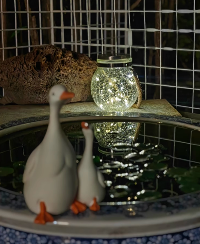 Rankont yon nwit powetik! Anbyans Ti Limyè Limen yon Mikwo Amoure Kwen